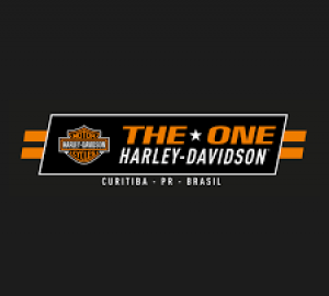 The One Harley-Davidson