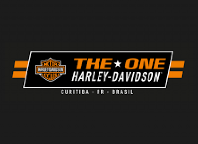 The One Harley-Davidson